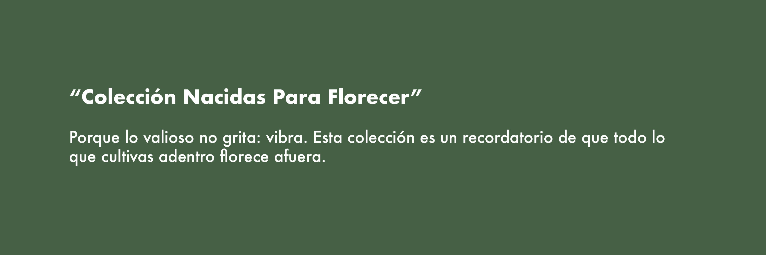 Nueva Colección